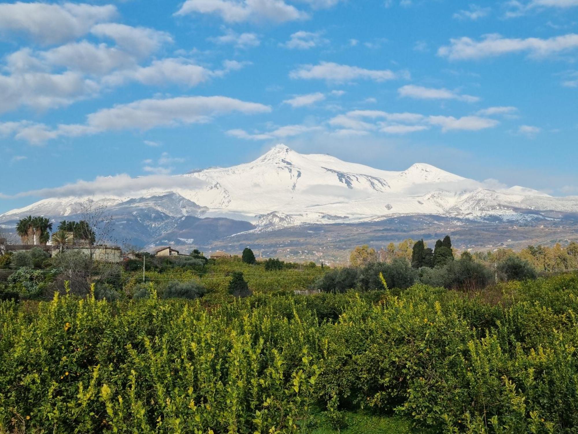 Luxury Relaxing Home With Heated Pool Near Catania, Taormina, The Sea And Mount Etna Giarre Extérieur photo